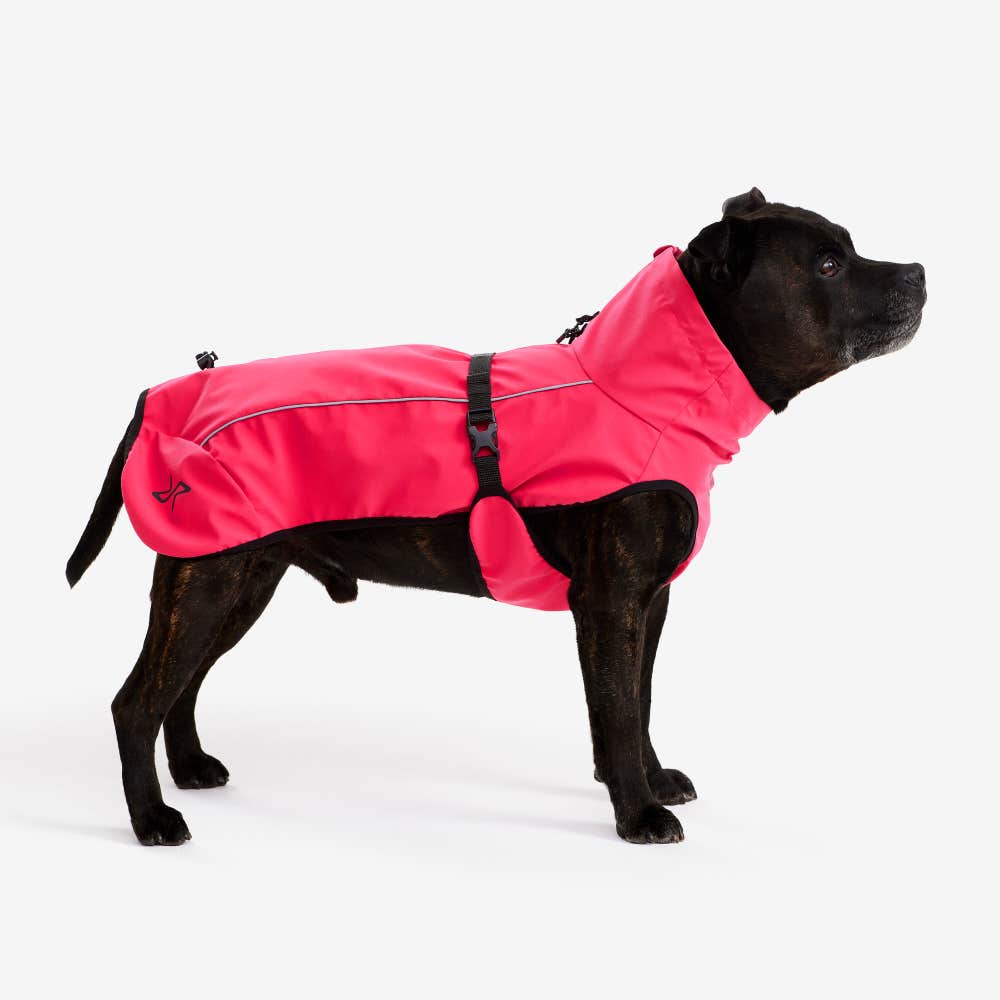 Cyclone Dog Jacket
